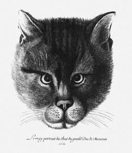 Ware afbeelding van de kat van tsaar Alexis I Mikhailovich van Rusland door Wenceslaus Hollar