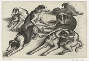 Zes liggende jachthonden door Wenceslaus Hollar