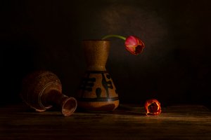  door Wendy Xu