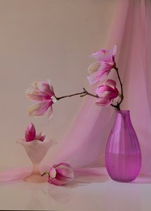  door Wendy Xu