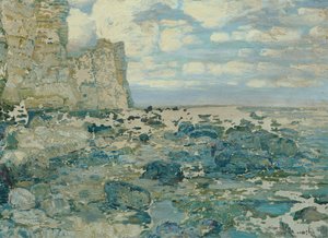 Aan het strand door Wenzel Radimský