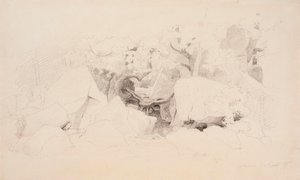 Steenslag in het bos door Werner Holmberg