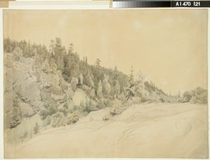 Landschap