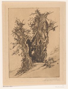 Holle boom bij Seelisberg in Zwitserland door Wijnand Otto Jan Nieuwenkamp (signed by artist)