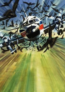 Een passagiersvliegtuig bedreigd door een zwerm vogels door Wilf (20th century) Hardy