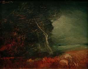 Somber bosrand (Aardappelvuur)