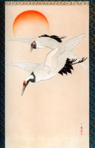 Kraanvogels