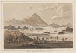 Uitzicht op Hong Kong vanaf East Point, 1855 door Wilhelm Joseph Heine