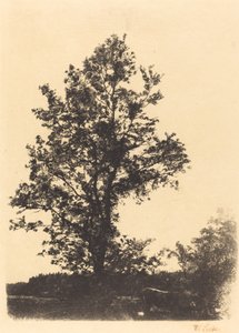 De Grote Boom