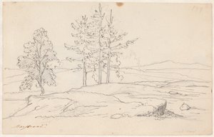 Zweeds landschap