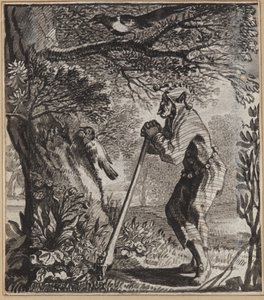 De kletsende dwaas door Wilhelm Stettler