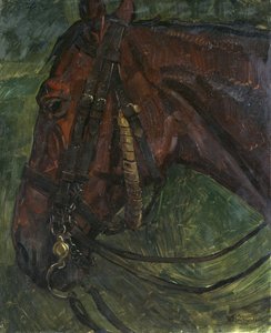 Paardenhoofd