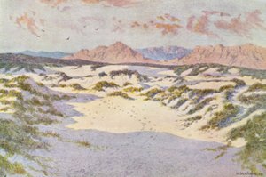 Op de zandduinen bij Muizenberg