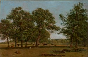 Weidevelden bij Dietramszell (Weidelandschap met oude eiken)