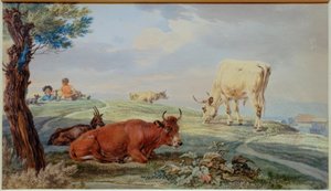 Weidelandschap uit het Beierse Oberland
