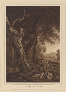 Oude Eiken in een Landschap