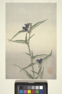 Bloemenstudie, ca. 1908 door Wilhelmina Seegmiller