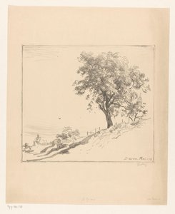 Landschap met boom op een dijk te Dieren