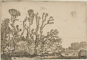 Landschap met Bomen, Vijver en Schapen