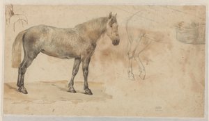 Studies van een paard door Willem Carel Nakken