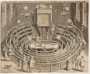 De Zaal van het Anatomisch Theater in Leiden