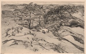 Duinlandschap