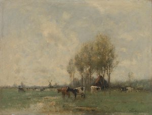 Weide met koeien