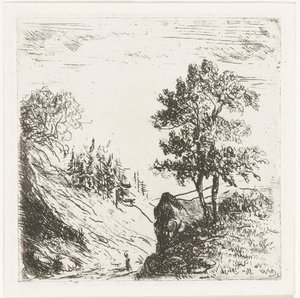 Heuvellandschap met twee bomen op rots