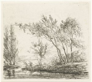 Landschap met bomen aan water