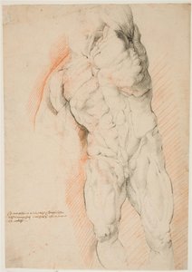 Anatomische studie (écorché). Vooraanzicht van staande gevilde man, zijn linkerarm opgeheven door Willem Panneels