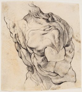 Anatomische Studie (écorché). Torso van een gevilde man gezien van de achterkant half gedraaid naar rechts door Willem Panneels
