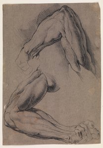 Anatomische studie (écorché). Twee studies van een gevilde linkerarm van een man door Willem Panneels