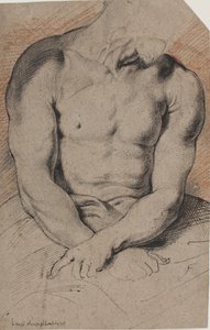 Christus gekroond met doornen. De torso van Christus. Naar Van Dyck