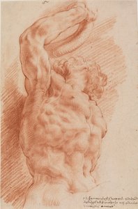 Laocoon. Laocoon