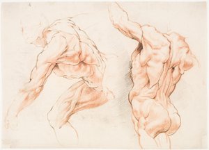 Twee anatomische studies van een man die naar links leunt en een andere van achteren gezien met opgeheven arm (écorché)