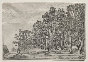 De Set van de Landschappen: Twee Plank-Heggen