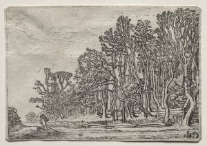 De set van de landschappen: Twee plank-heggen, 1616 door Willem Pietersz Buytewech