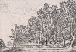 Twee Plank Heggen, uit Verscheyden Landtschapjes Diverse Kleine Landschappen, Plaat 6,..., ca. 1616 door Willem Pietersz. Buytewech