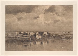 Melkbocht aan de Schie
