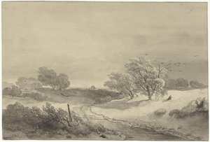 Duinlandschap in somber weer door Willem Roelofs (I)