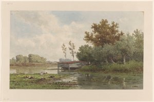 Landschap met water en eenden