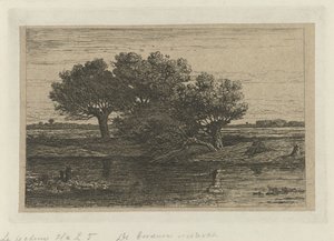 Visser bij de knotwilgen