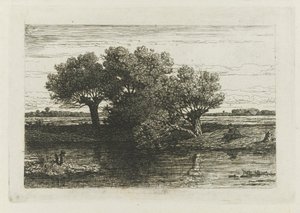 Visser bij de knotwilgen door Willem Roelofs (I)