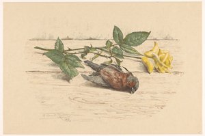 Dode vink liggend naast een roos door Willem Roelofs (II) (signed by artist)