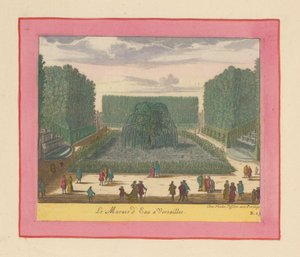 Wassermoor in den Gärten von Versailles door Willem Swidde