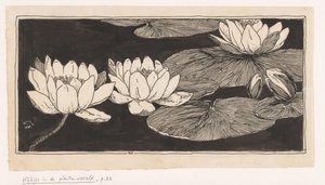 Waterlelies door Ludwig Willem Reymert Wenckebach