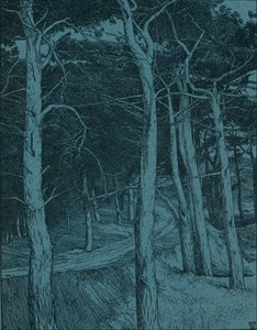Bos, ca. 1912 door Willem Wenckebach