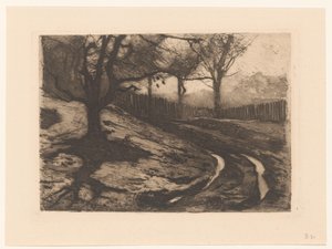 Landschap met bomen en omheining