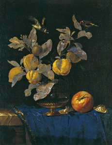 Stilleven met Fruit door Willem van Aelst