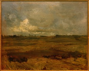 Landschap in Noord-Brabant